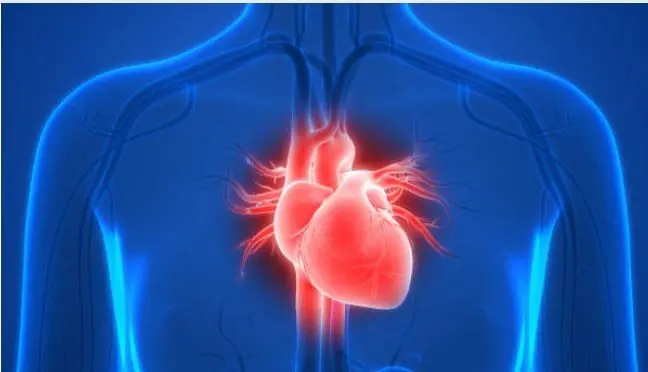 Cholibrium healthy heart